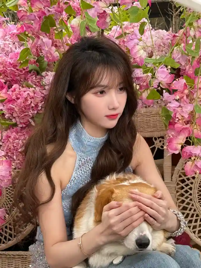 糖果传奇玩家增长曲线